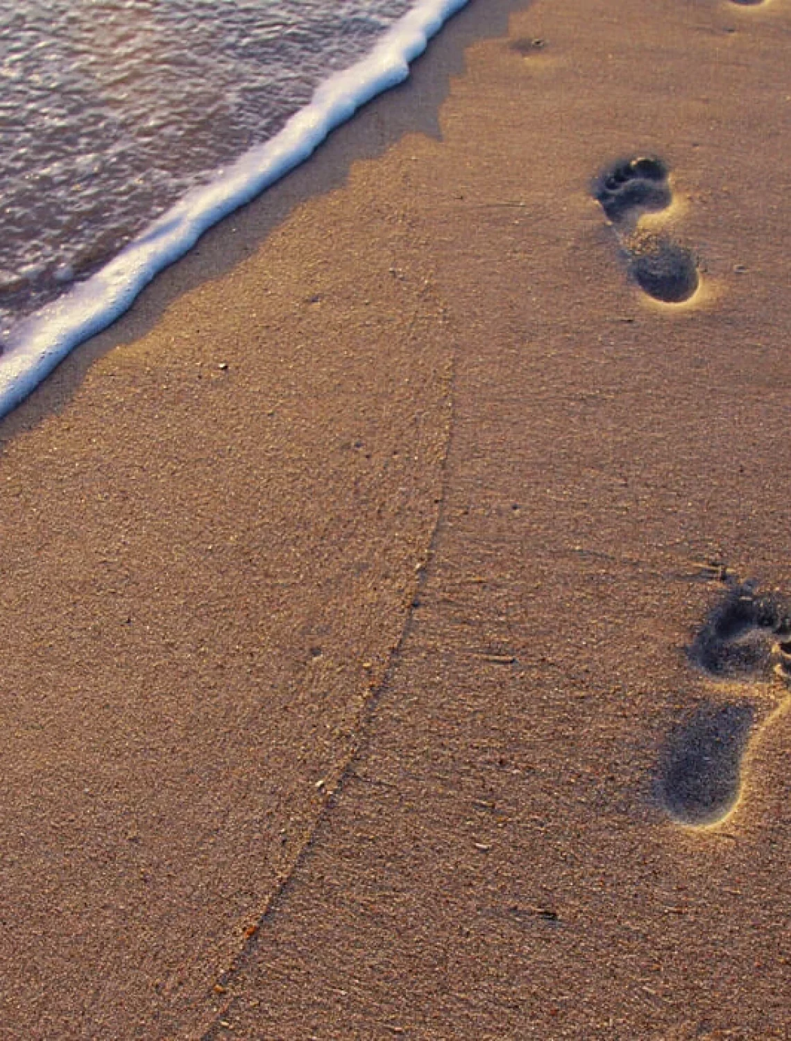 Brown-sand-w-footprints-freely-photos10151